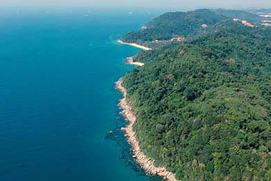 冲上热搜辟谣私生子不足1天何猷君更多黑料就被扒出